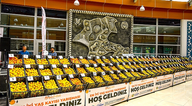 EN İYİ YAŞ KAYISILAR DOĞANŞEHİR VE DARENDE İLÇELERİNDEN