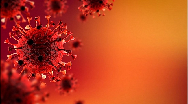 Coronavirus'un yeni mutasyonu "Deltacron" keşfedildi 