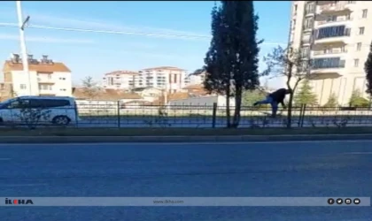 Malatya'da yaya denetimi gerçekleşti
