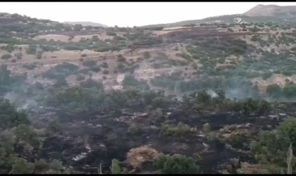 Malatya’da dün gece başlayan yangın kontrol altına alındı