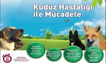 Malatya’da havadan kuduz aşılaması yapıldı