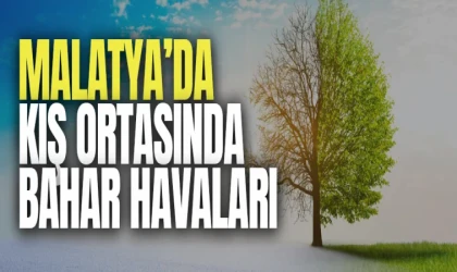 Malatya’da kış ortasında bahar havaları