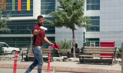 Acemi kasaplar iş başında