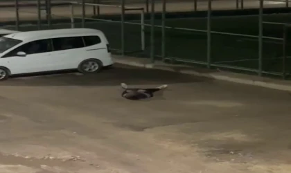Yere yığılan şahıs hastaneye kaldırıldı