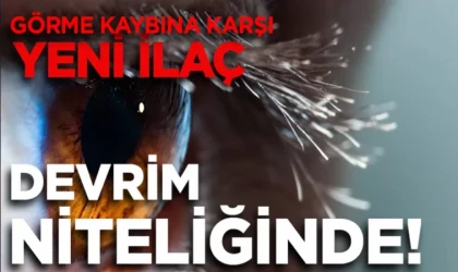 Bilim insanları görmeyi geri getiren ilaç geliştirdi