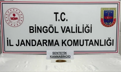 Bingöl’de bonzai ele geçirildi: 4 gözaltı