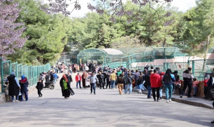 Gaziantep Doğal Yaşam Parkı, bayramda 150 bin ziyaretçiyle rekor kırdı