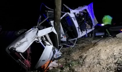 Malatya'da otomobil aydınlatma direğine çarptı: 1 ölü, 2 yaralı