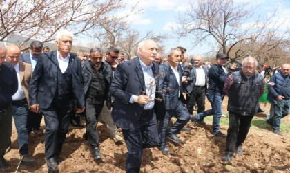 TZOB Genel Başkanı Bayraktar: "Kayısıda yüzde yüzlere varan zarar tespit ettik"