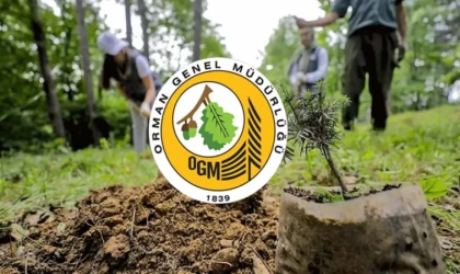 Orman Genel Müdürlüğü 105 personel alımı başvuru ekranı açıldı