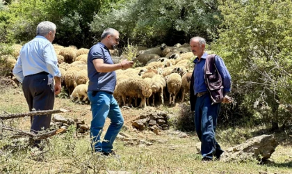 Yaylada zorlu şartlara rağmen üretmeye devam ediyorlar