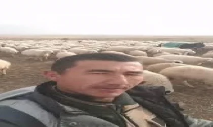 Asgari Ücret Zammını Duyan Çoban Patronuna Seslendi: “Bana Merhamet Et Diyordun”