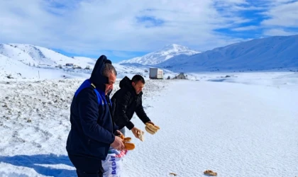 Doğanşehir’de Yaban Hayvanları İçin Örnek Duyarlılık