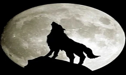 “Kurt Ayı” Bu Gece Gökyüzünü Aydınlatacak: Yılın İlk Dolunayı Görülecek