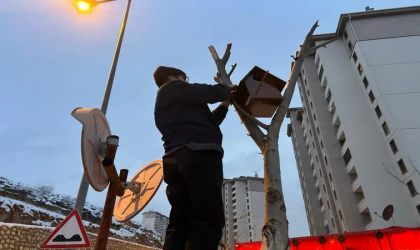Malatya’da Duyarlı Esnaftan Kuşlar İçin Yuva Projesi