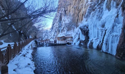 Malatya'da Günpınar Şelalesi buz tuttu