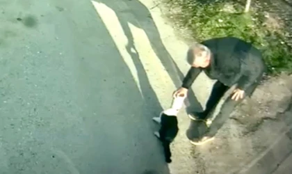 Kafasına Konserve Kutusu Sıkışan Kediyi MOTAŞ Şöförü Kurtardı