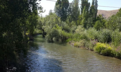 Tohma Çayı’nın Ekolojik Sağlığı Bilimsel Olarak Ortaya Kondu