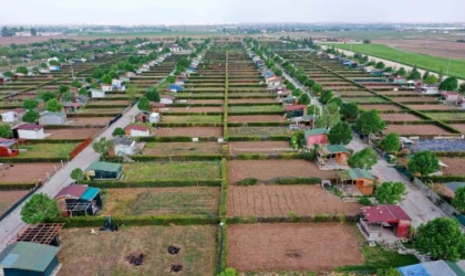 Hobi bahçelerine ağır yaptırımlar gelecek