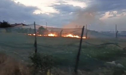 Otlar Alev Aldı, İtfaiye Zamanında Yetişti
