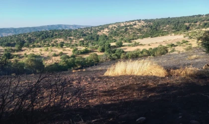 Pütürge’de Yangın: 2 Ev ve 20 Dönümlük Alan Küle Döndü