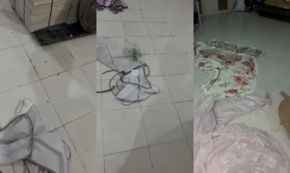 Vatandaş Görüntüledi: Fırında Böcek Var İddiası