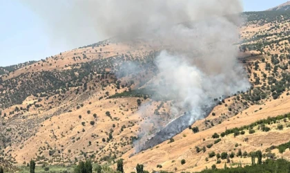 Pütürge’de Geniş Alanda Orman ve Örtü Yangını