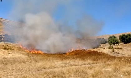 Akçadağ’da Trafo Kıvılcımları Yangına Neden Oldu